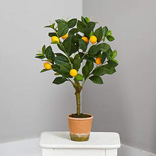 Load image into Gallery viewer, Nearly Natural Lemon Tree - 24in.