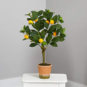 Nearly Natural Lemon Tree - 24in.