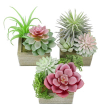 Load image into Gallery viewer, Faux Succulents Plants
